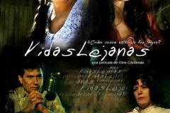 2011_Vidas-lejanas