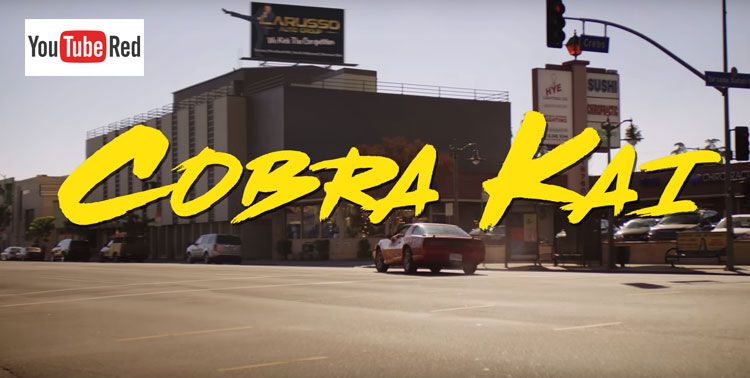 Cobra Kai, la saga de Karate Kid