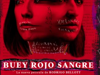 Buey rojo sangre